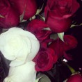 /album/algunos-de-nuestros-dise%c3%b1os-y-productos-de-san-valentin/img-20120622-191334-jpg/