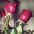 /album/algunos-de-nuestros-dise%c3%b1os-y-productos-de-san-valentin/img-20130224-030500-jpg/