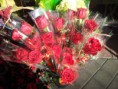 /album/algunos-de-nuestros-dise%c3%b1os-y-productos-de-san-valentin/a20120212-111540-jpg/